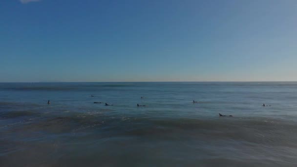 Aerial Surfers Mount Maunganui Beach New Zealand — Stockvideo