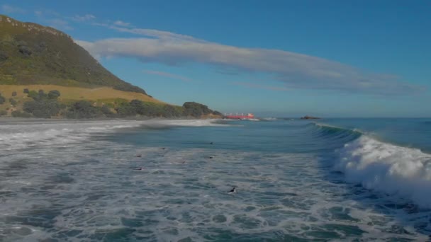 Aerial Surfers Mount Maunganui Beach New Zealand — ストック動画