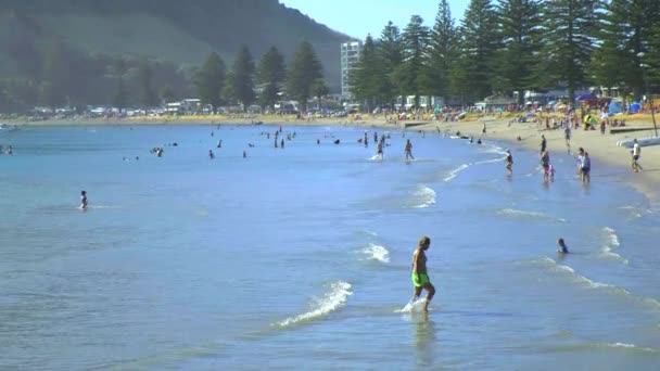 People Pilot Bay Mount Maunganui — Stockvideo