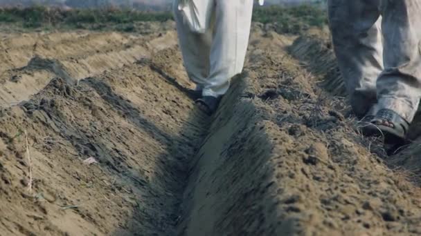 Indian Farmer Seeding Crops Field Low Angle Close View — Stock video