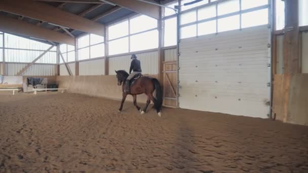 骑在马厩里骑马的女人慢镜头 — 图库视频影像