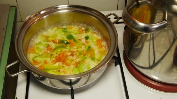 Home Made Food Vegetables Boiled Metal Saucepan Gas Cooker — Videoclip de stoc