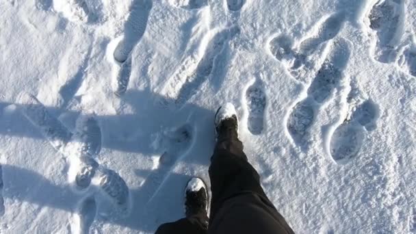 Повільний Рух Чоловіки Ходять Снігу — стокове відео
