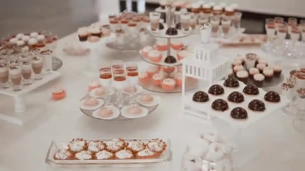 Sweet Buffet Many Delicious Desserts Souffles Panna Cottas Tiramisus Marshmallows — Videoclip de stoc