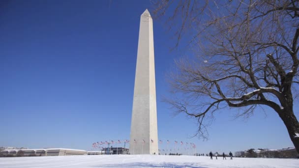 Timelapse Washington Monument Blue Sky Day Winter — Stockvideo