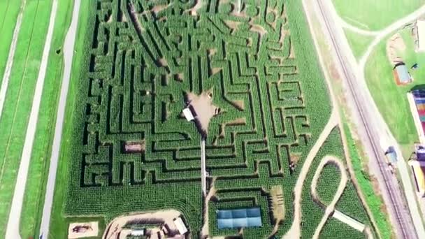 Aerial Fly Directly Corn Maze Ronks Lancaster County Pennsylvania Concept — ストック動画