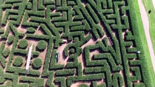 Aerial Tilt Show Expanse Corn Maze Ronks Lancaster County Pennsylvania — Stok video