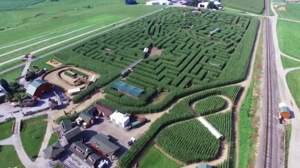 Aerial High Low Pass Railroad Tracks Corn Maze Ronks Lancaster — Αρχείο Βίντεο
