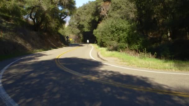 Motorcycles Drive Windy Road Green Trees California Single Man Walks — 비디오