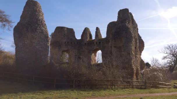 Castle Ruins Countryside — Vídeo de stock