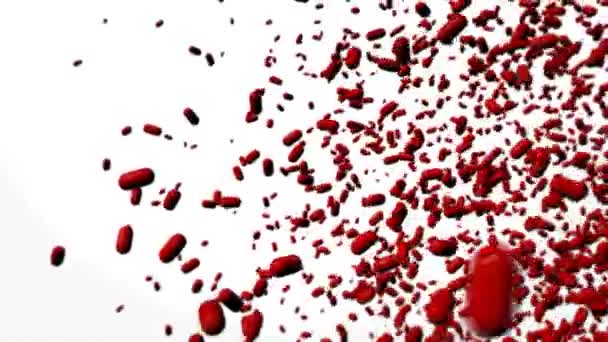 Red Pills Flying White Background — Vídeo de Stock