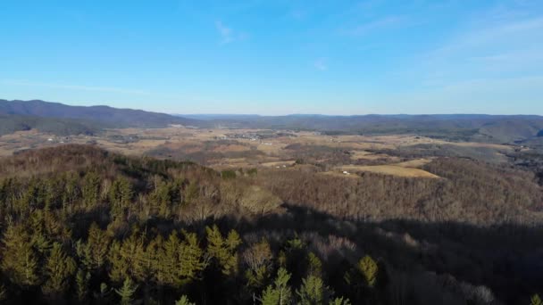 Video Aerial Shot Flying Trees Small Town Hillsboro West Virginia — Vídeos de Stock