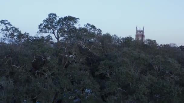 New Orleans Taki Loyola Üniversitesi — Stok video