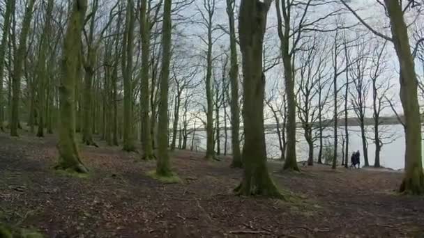 의나무들 사이로 동작을 뒤에서 사람들 — 비디오