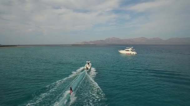 Aerial Drone Shot Person Skiing Island Iof Sea Cortez — Stock videók