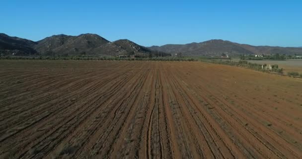 Aerial Shot Vineyards Fields Valle Guadalupe — Stockvideo