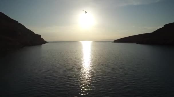 Luchtopname Van Vliegende Vogel Partida Island Archipielago Espritu Santo National — Stockvideo