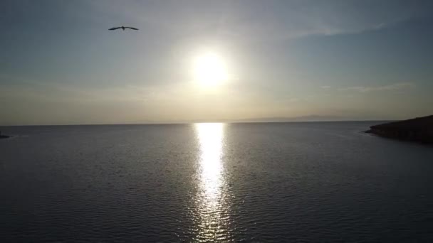 Aerial Shot Sunset Flying Bird Partida Island Archipielago Espritu Santo — Stok video