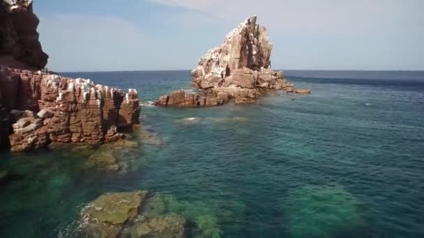 Aerial Cenital Plane Shot Sea Lion Swimmingin Lobera Partida Island — Vídeo de Stock