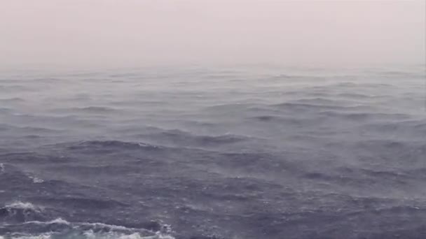 Caught Sea Storm Middle Ocean Heavy Rain Falling Waves Rapidly — Vídeo de stock