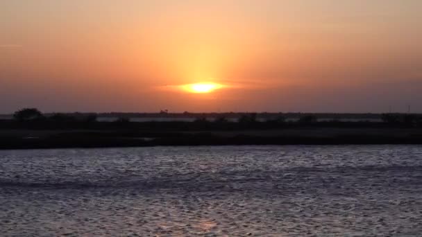 Sonnenuntergang Zeitraffer Einem Sumpfgebiet Texas — Stockvideo