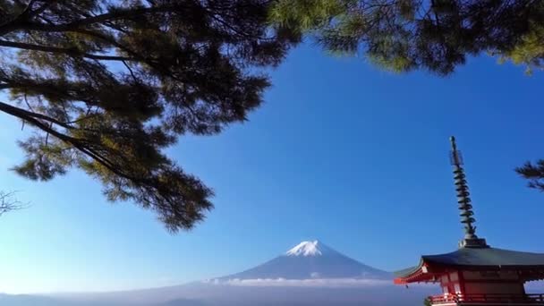 Fuji Chureito Pagoda Revealing Shot Beautiful Early Spring Japan — Wideo stockowe