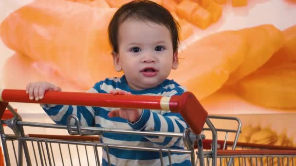 Very Happy Baby Boy Sitting Shopping Cart Alone Food Shop — Stock Video