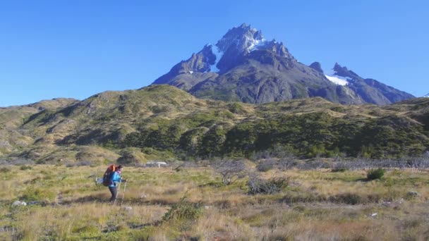 Młoda Kobieta Wędrująca Łące Parku Narodowym Torres Del Paine Patagonii — Wideo stockowe