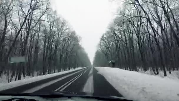 越野车驱动农村湿路冬季风景雪地森林光秃秃的树木肮脏的窗户高坡观点汽车旅行多云的天空 — 图库视频影像