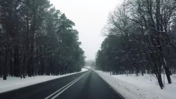 Pov Voertuig Rijden Platteland Winter Landschap Sneeuw Bos Kale Bomen — Stockvideo