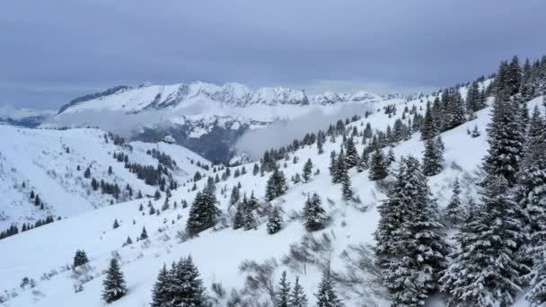 遠くに松の木と山の範囲で覆われた山の側に沿って空飛ぶショット 冬のフランスアルプスでは — ストック動画