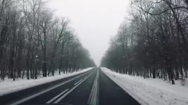 越野车驱动农村湿路冬季风景雪地森林光秃秃的树木肮脏的窗户高坡观点汽车旅行多云的天空 — 图库视频影像