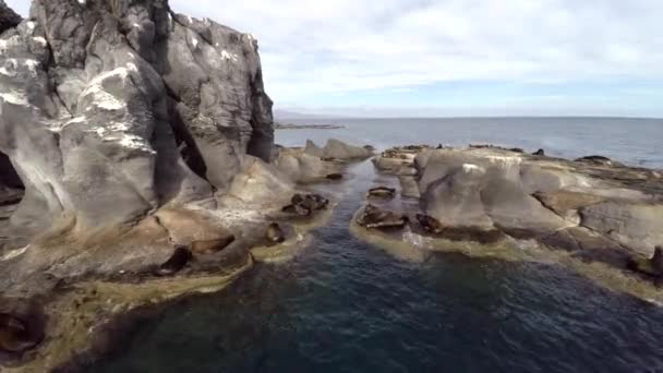 Légi Felvétel Gyönyörű Lobera Oroszlánfókák Pihenő Coronado Island Loreto Bay — Stock videók