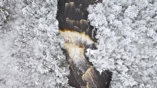 Winter Aerial Tahquamenon Falls State Park — Stock Video