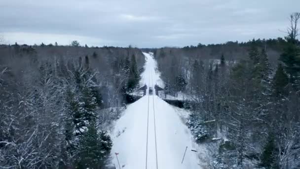 Birdseye View Winding River Michigan Upper Peninsula — Video Stock