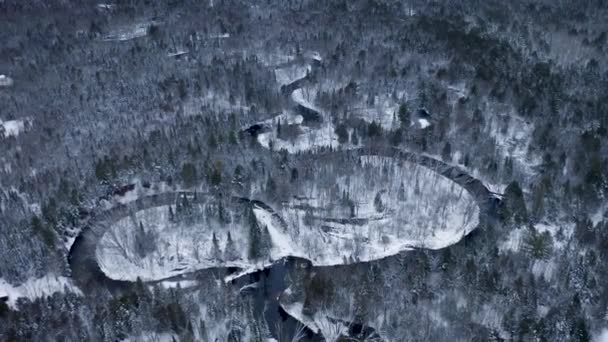 Birdseye View Winding River Michigan Upper Peninsula — 비디오