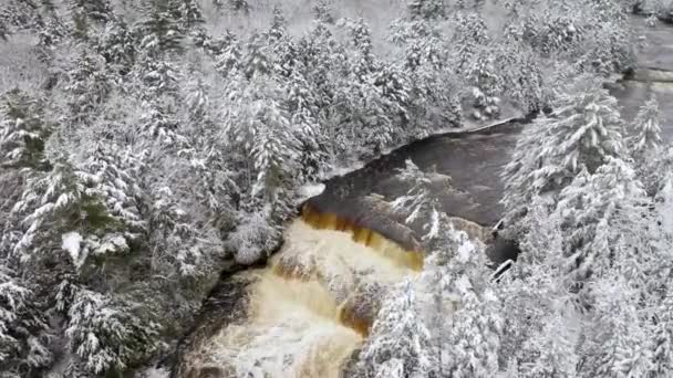 Winter Aerial Tahquamenon Falls State Park — Stok video