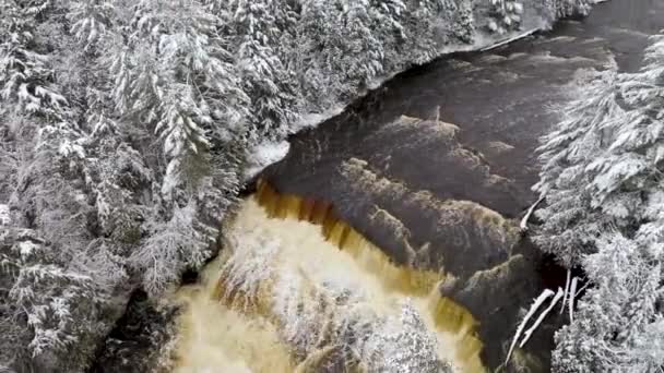 Winter Aerial Tahquamenon Falls State Park — Stok video