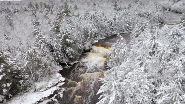 Winter Aerial Tahquamenon Falls State Park — Stok video