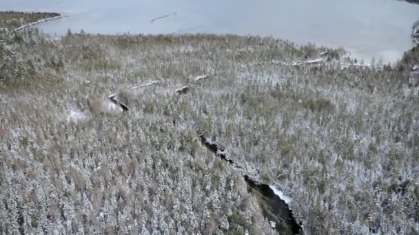 密歇根州北部Kitch Iti Kipi冬季空中飞行 — 图库视频影像