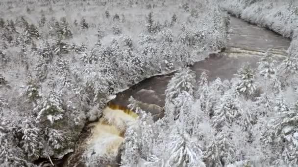 Winter Aerial Tahquamenon Falls State Park — Stok video