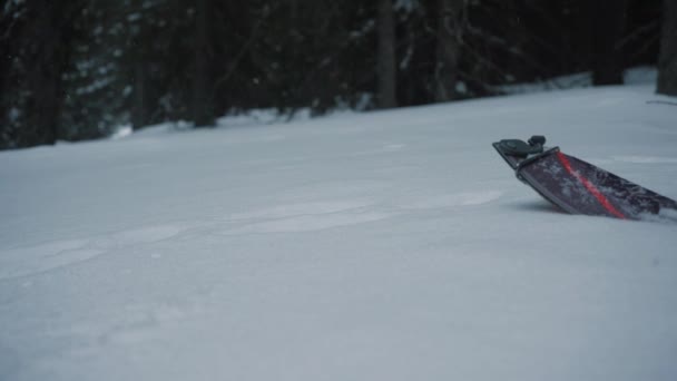 Cámara Lenta Esquí Mueve Través Nieve Recién Caída Invierno Colorado — Vídeo de stock