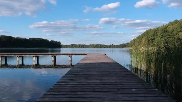 Sopra Molo Lago Pesca — Video Stock