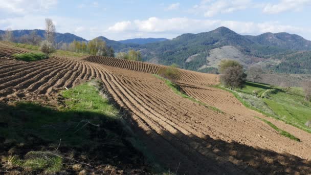 Fields Planted Potatoes Rhodope Mountains Bulgaria Mountain Farming Spring Landscape — Stockvideo