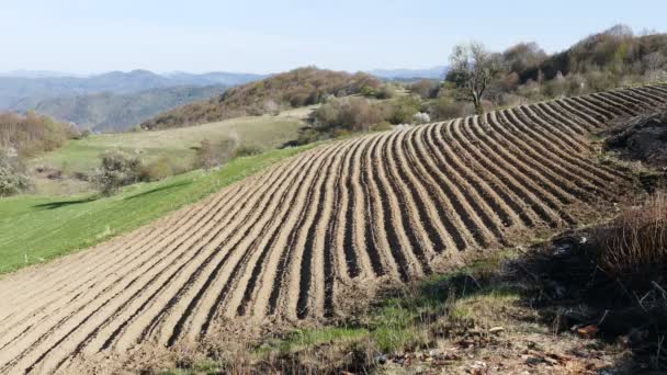 Fields Planted Potatoes Rhodope Mountains Bulgaria Mountain Farming Spring Landscape — Vídeo de Stock