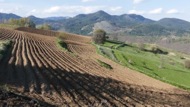 Fields Planted Potatoes Rhodope Mountains Bulgaria Mountain Farming Spring Landscape — Video Stock