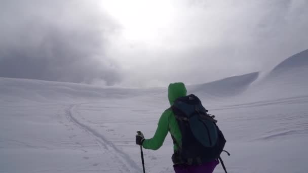 Woman Backcountry Skiing Alpine Terrain — Αρχείο Βίντεο
