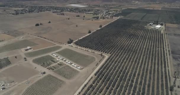 Vista Aérea Hotel Viñedo Del Valle Guadalupe — Vídeo de stock