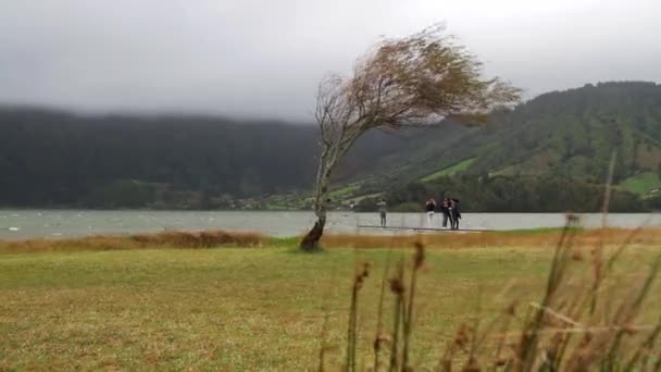 Jezero Sete Cidades Dřevěné Molo Několika Turisty Pozadí Osamoceným Stromem — Stock video