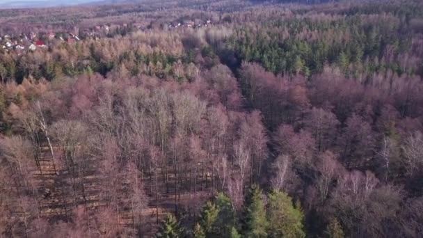 Widok Powietrza Las Południu Niemiec Pobliżu Żytawy Pociąg Parowy Wąska — Wideo stockowe